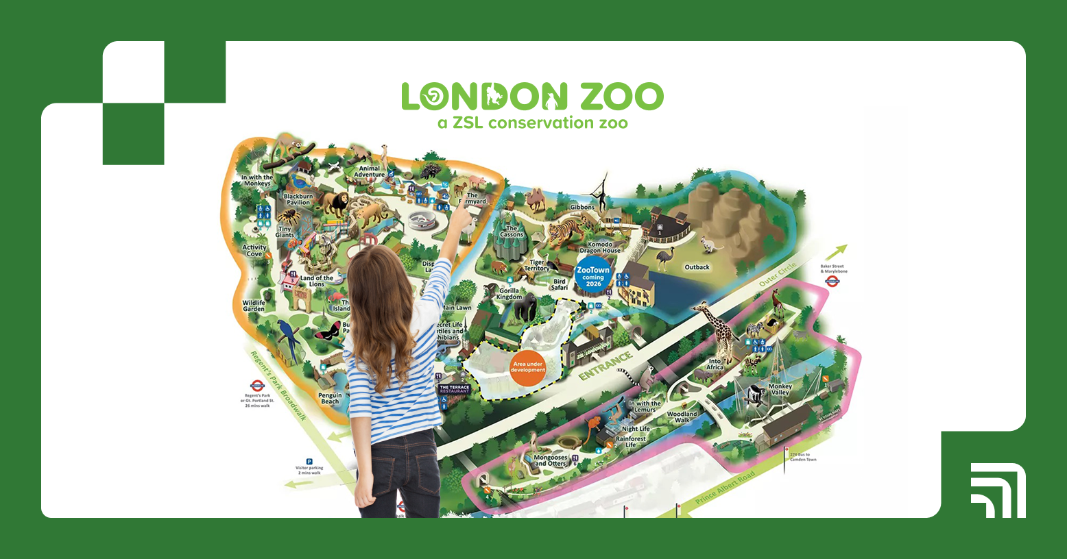 How ZSL London Zoo Streamlined Device Charging with ForwardPass